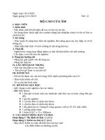 GIÁO ÁN LÍ 7 - TUẦN 13