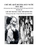 Giáo án chủ đề Quê hương đất nước Bác Hồ tuần 33 tuần phụ