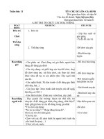 Giáo án tuần phụ tuần 11. Chủ đề: Gia đình: Nhánh 4. Ngày hội của các thầy cô