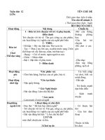giáo án tuần 12 chủ đề 
