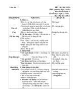 giáo án phụ tuần 17