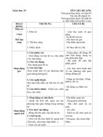 Giáo án tuần phụ 29 Chủ đề PTGT đường bộ