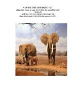 GIAO AN CD NHUNG CON VAT DANG YEU