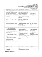 GA tuần 34 chủ đề trường tiểu học