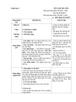 giáo án phụ tuần 1: Tết trung thu