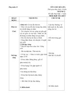 giaó án phụ tuần 13 cđ nghề nghiệp