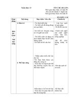 gIáo án tuần 13 chủ đề nghề sản xuất