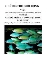 Giáo án tuần 19: Chủ đề thế giới động vật: Tuần phụ