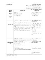 giáo án phụ tuần 18. chủ đề : Thế giới thực vật:. Nhánh 