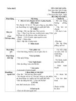 Giáo án tuần 12 Chủ đề 