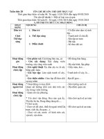 Giáo án tuần phụ 20. Chủ đề nhánh1: Một số loại rau củ quả