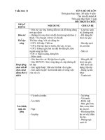 Giáo án phụ tuần 11. Cô giáo của bé