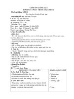 Giáo án: KPKH:Trò chuyện về một số loại quả