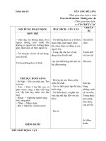 GA tuần 18: Những con vật sống trong rừng