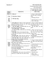 giáo án phụ tuần 17 chủ đề thế giới động vật.động vật sống trong rừng