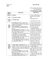 giáo án phụ tuần 19: Tết nguyên đán