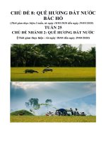 Tuần 25: Chủ đề 8: 