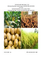 Giáo án tuần 26: Chủ đề 