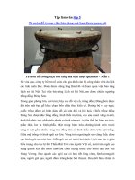 Tải Tập làm văn lớp 5: Tả món đồ trong viện bảo tàng mà em được quan sát -  Những bài văn hay lớp 5