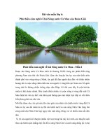 Tải Bài văn mẫu lớp 6: Phát biểu cảm nghĩ về bài Sông nước Cà Mau của Đoàn Giỏi -  Những bài văn mẫu lớp 6 hay nhất