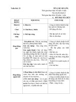 Giáo án phụ tuần 23: Một số loài hoa