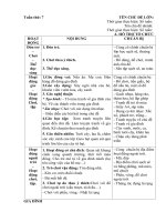 giáo án phụ tuần 7 . Chủ đề 