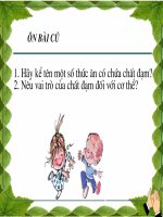 Khoa học 4 - Tuần 4 - Tại sao cần phối hợp đạm động vật và thực vật