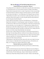 Tải Bài văn mẫu lớp 5: Kể lại buổi học đáng nhớ của em -  Những bài văn mẫu lớp 5 hay nhất