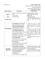 tuần phụ một số loại rau củ quả