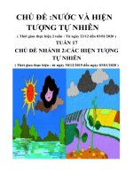 Tuần 17: Chủ đề 5: 