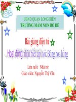 Hoạt động nhận biết tập nói: Bông  hoa hồng