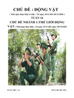 tuần phụ 16 chủ đề động vật con vật nuôi trong gia đình