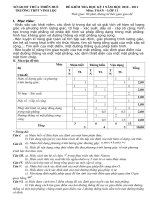 ĐỀ THI HỌC KÌ I MÔN TOÁN KHỐI 11 NĂM HỌC 2010 - 2011