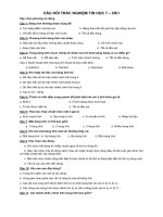 Trắc nghiệm Tin học lớp 7