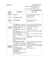 Giáo án phụ tuần 9 : họ hàng gia đình