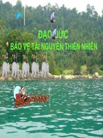 giáo án lớp 5- tuần 31- Đạo đức- bảo vệ tài nguyên thiên nhiên