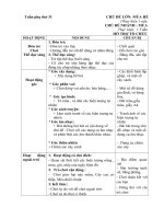 Tuần phụ 31 Mùa hè