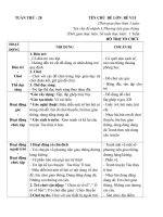 giáo án tuần 28 chủ đề PTGT đường hàng không