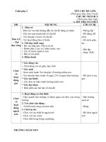 Giáo án tuần phụ 2 chủ đề nhánh 3 