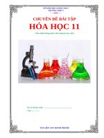 Các chuyên đề các dạng bài tập hóa học 11 có lời giải chi tiết