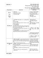 giao an phụ tuan 6. chủ đề 