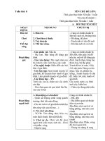 Giáo án phụ tuần 8: tôi là ai