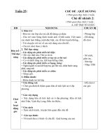 TUẦN PHỤ 25: NHÁNH QUÊ HƯƠNG - ĐẤT NƯỚC