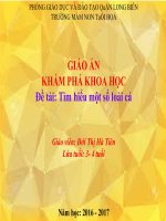 Giáo án điện tử : Tìm hiểu một số loài cá