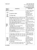 giáo an phụ tuần 9 chủ đề gia đình : Nhánh 