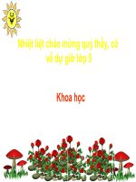 Lớp 5 - Khoa học - Tuần 21: Năng lượng mặt trời