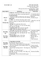 Giáo án tuần 30 chủ đề 