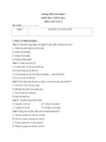 Tải Đề kiểm tra 1 tiết môn Ngữ văn lớp 6 -  Đề kiểm tra 45 phút môn Ngữ văn lớp 6