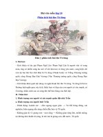 Tải Bài văn mẫu lớp 10: Phân tích bài thơ Tỏ lòng -  Những bài văn hay lớp 10