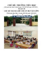 Giáo án tuần 35: Chủ đề 